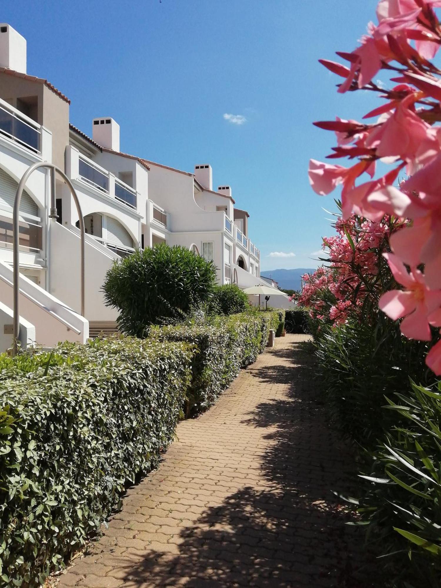 Vue Lagune Et Bateaux A 100M De La Plage Apartment Saint-Cyprien  Bagian luar foto